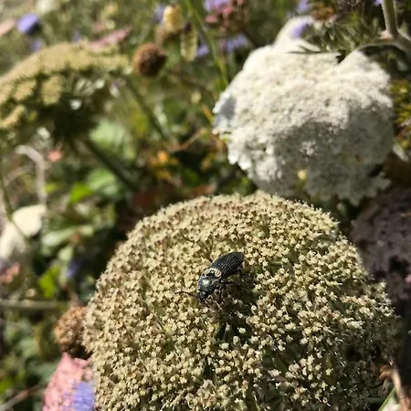 - Close To - Proche De La *