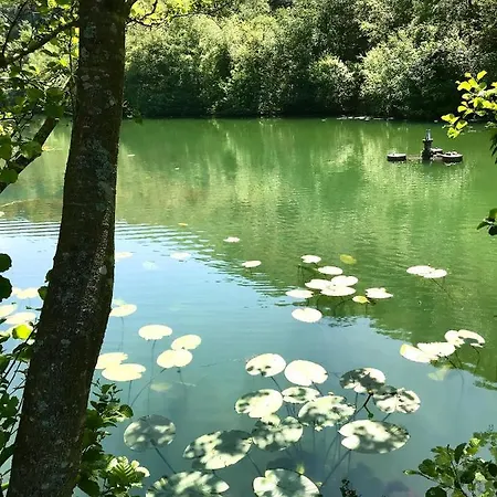 - Close To - Proche De La