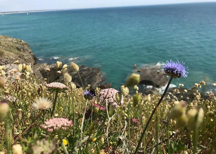 - Close To - Proche De La *