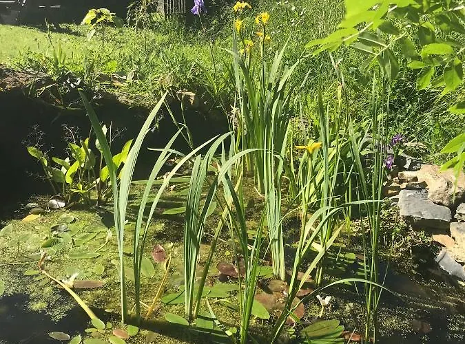 - Close To - Proche De La Holiday home Glatigny