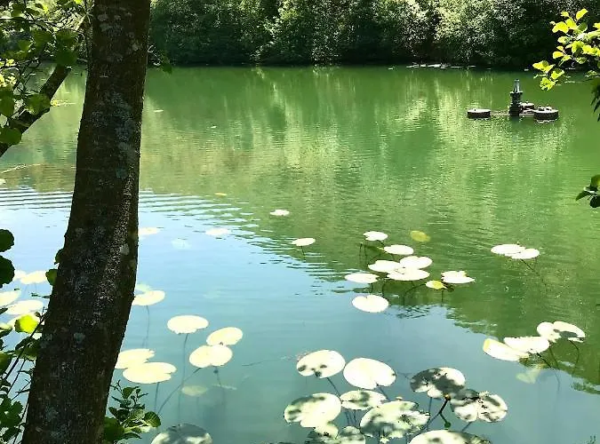 - Close To - Proche De La